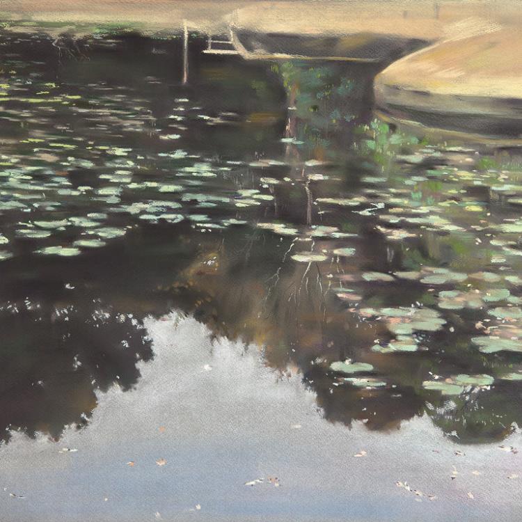 睡蓮倒影系列 Waterlily Reflection Series