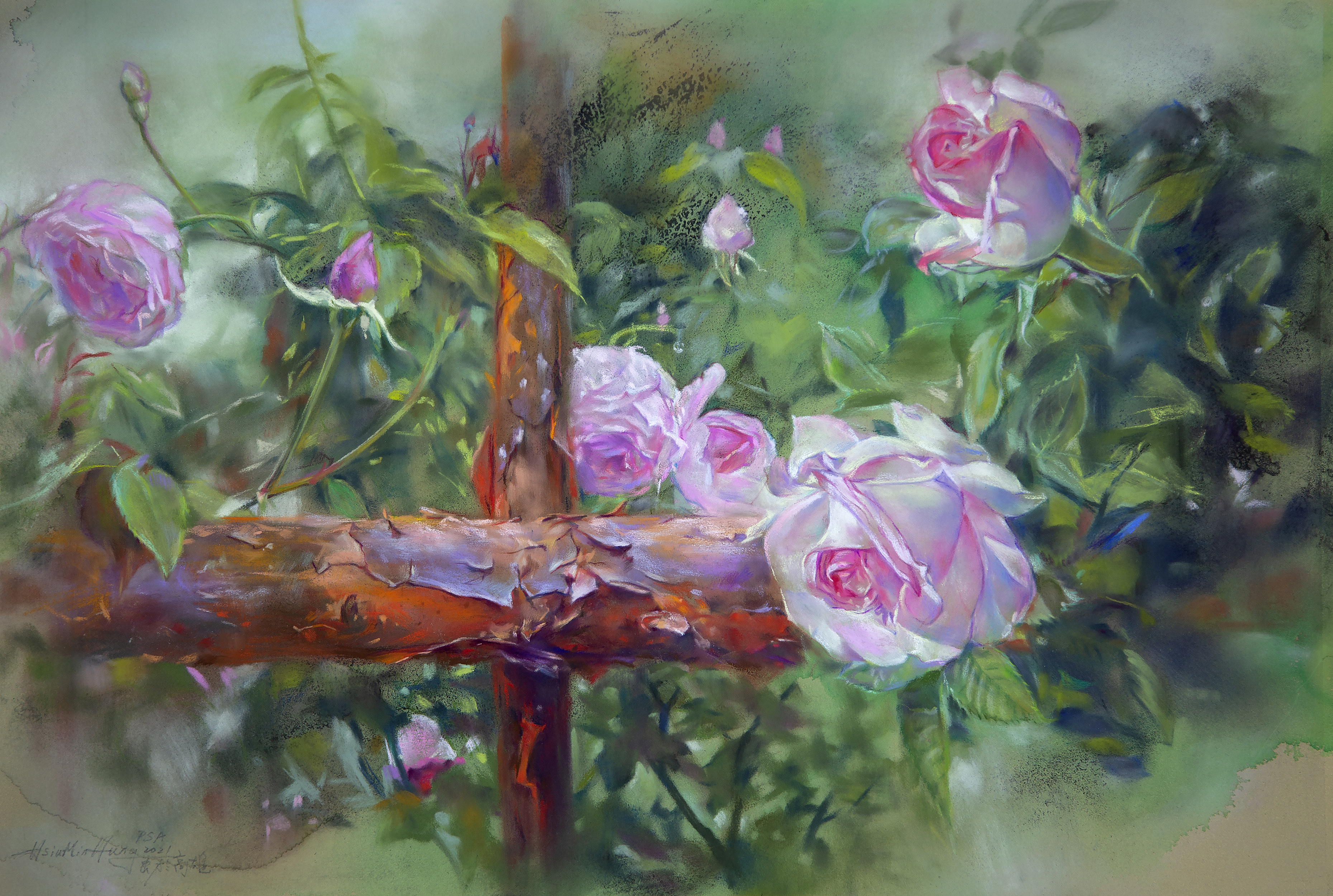 夏日玫瑰	Summer Rose
