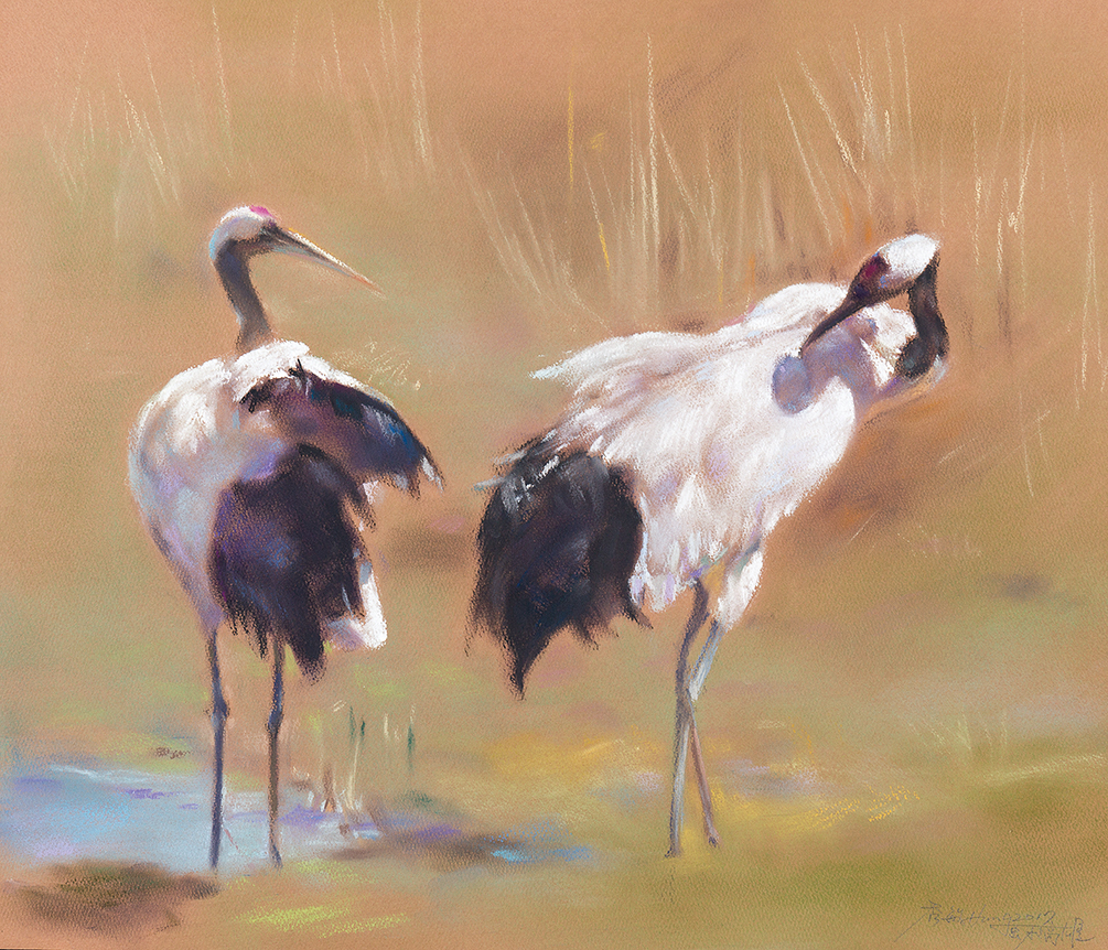 Spring Red-Crown Cranes
