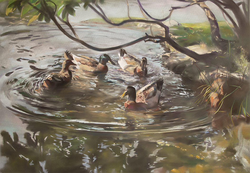 Ducks Padding