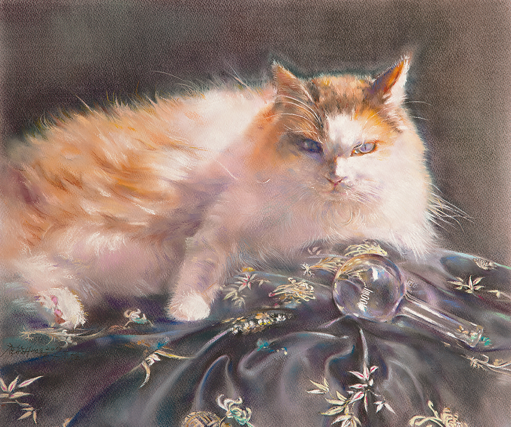 The Cat and The Glass Ball