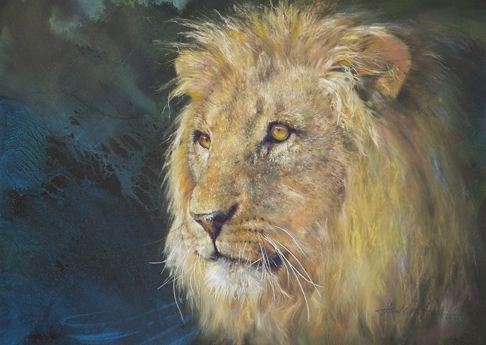 Wildness . Simbalion